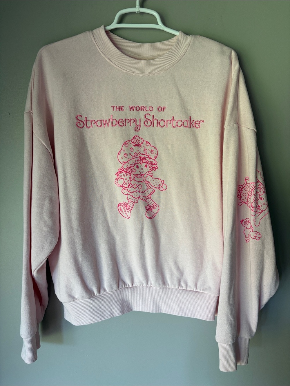 The World Of Strawberry Shortcake Embroidered Pink Crewneck Sweatshirt
